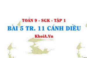 Bài 5 trang 11 Toán 9 Cánh diều Tập 1
